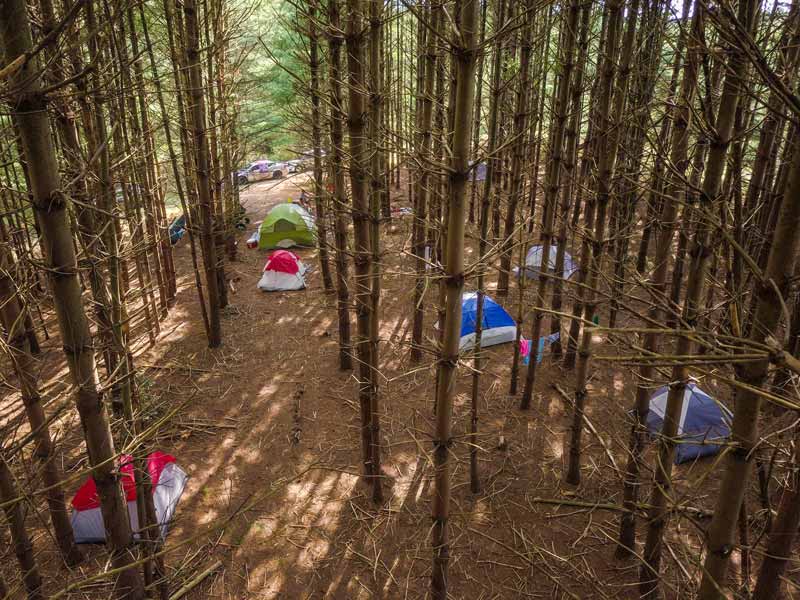 Group camping in a private area.  Off grid Camping