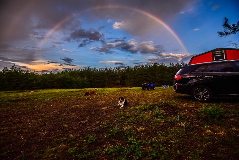 Cabin rentals in tennessee photo with a rainbow and some dogs in the yard of the Red Cabin.